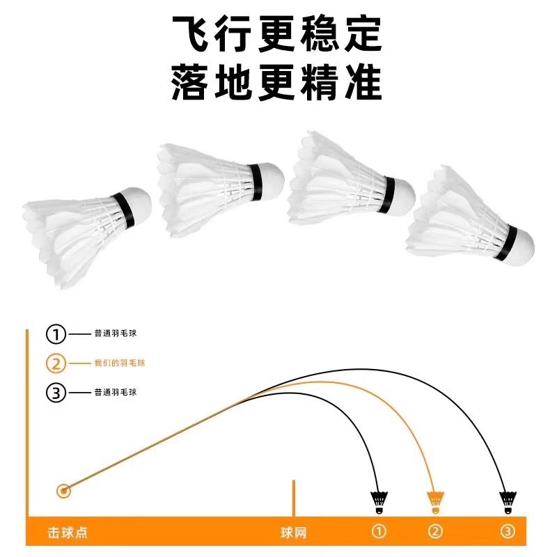 ลูกแบดมินตันขนห่าน Lion 12 แพ็ - Feather Shuttlecock บทวิจารณ์และราคา